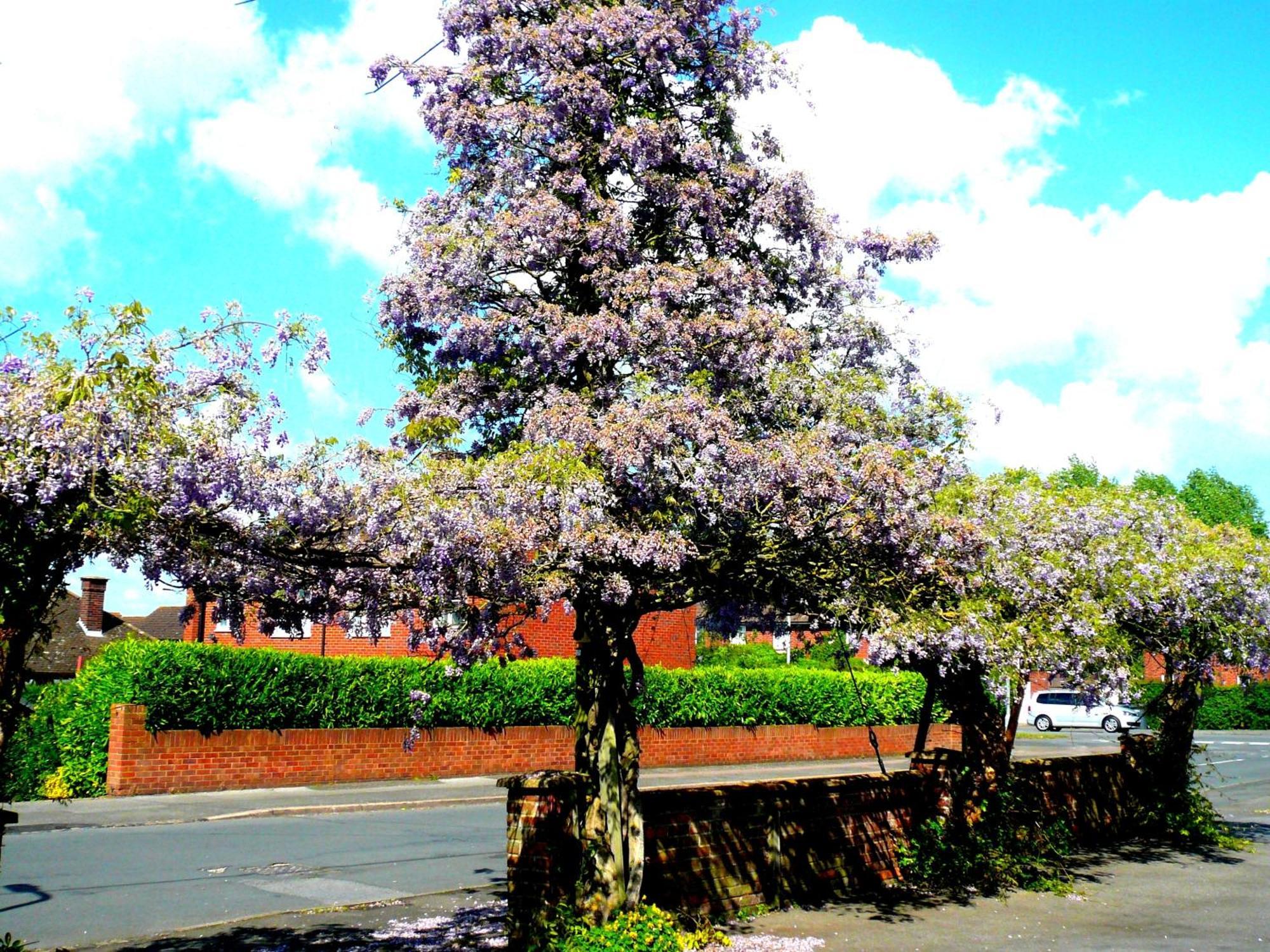Malvern House High Wycombe Buitenkant foto